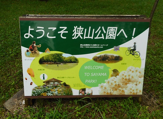 f:id:kaze_kaoru:20200715192510j:plain f:id:kaze_kaoru:20200715192510j:plain