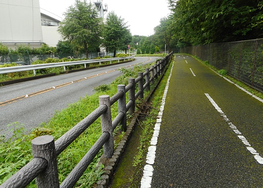 f:id:kaze_kaoru:20200715202012j:plain f:id:kaze_kaoru:20200715202012j:plain