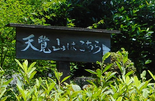 f:id:kaze_kaoru:20200719220405j:plain f:id:kaze_kaoru:20200719220405j:plain