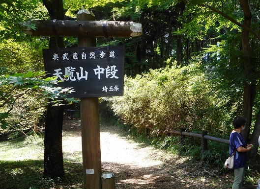 f:id:kaze_kaoru:20200719221017j:plain f:id:kaze_kaoru:20200719221017j:plain