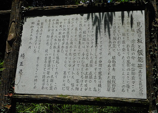 f:id:kaze_kaoru:20200721131419j:plain f:id:kaze_kaoru:20200721131419j:plain