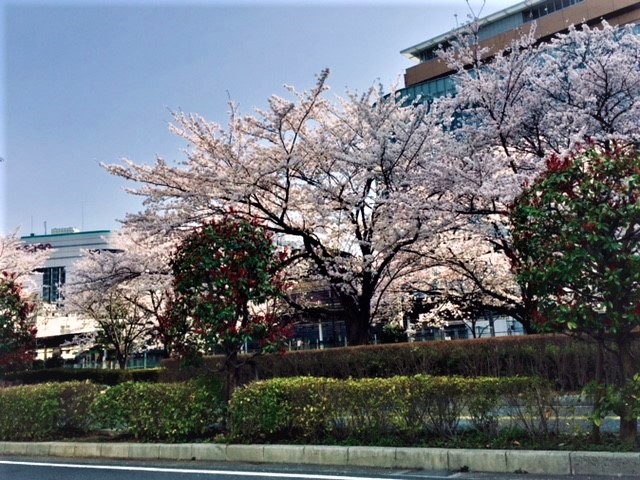 f:id:kaze_no_katami:20180329144334j:plain f:id:kaze_no_katami:20180329144334j:plain