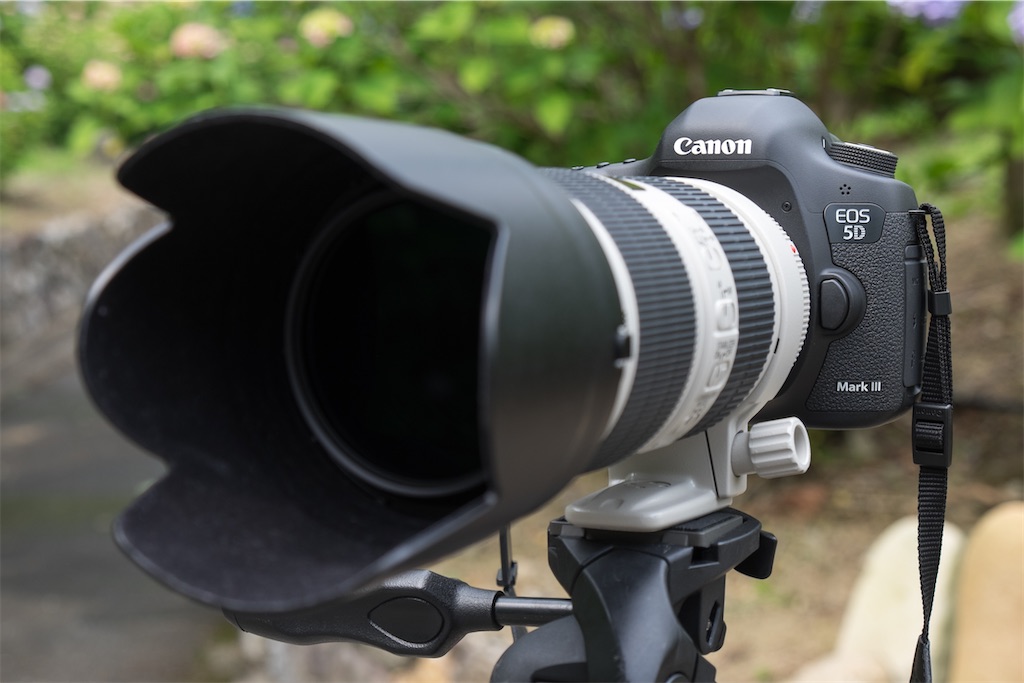 f:id:kazechannel:20210303115617j:image f:id:kazechannel:20210303115617j:image