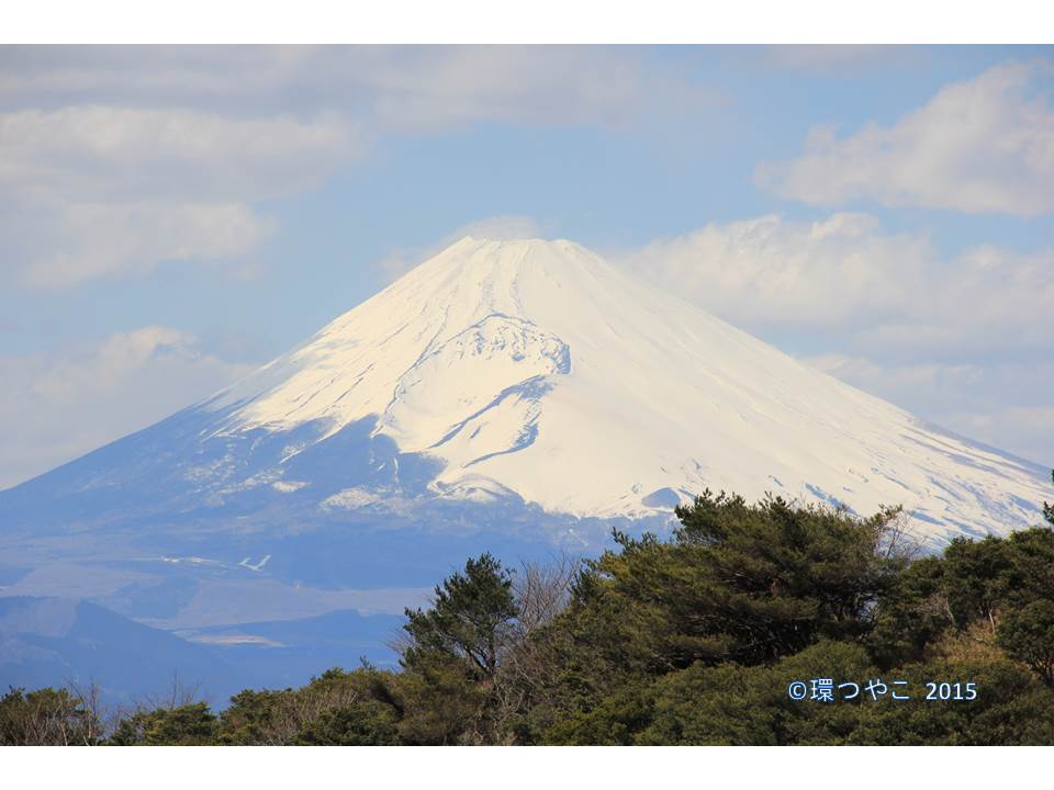 f:id:kazehikari:20151218153055j:plain f:id:kazehikari:20151218153055j:plain