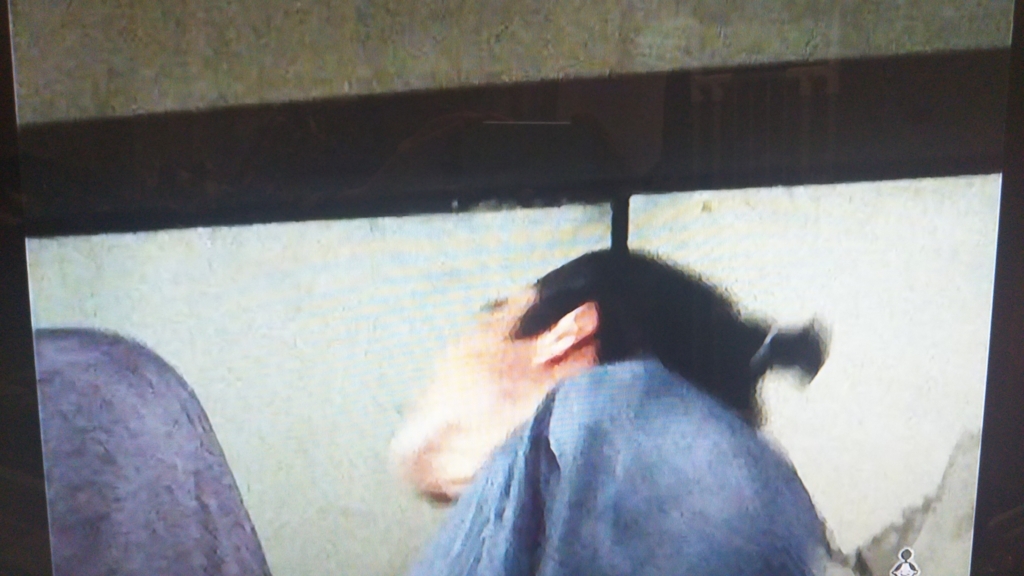 f:id:kazemachigusa:20180104005554j:plain