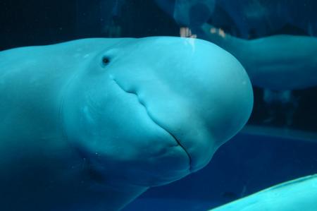 f:id:kazemidori:20050102201947:image