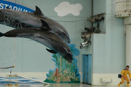 f:id:kazemidori:20050102202011:image