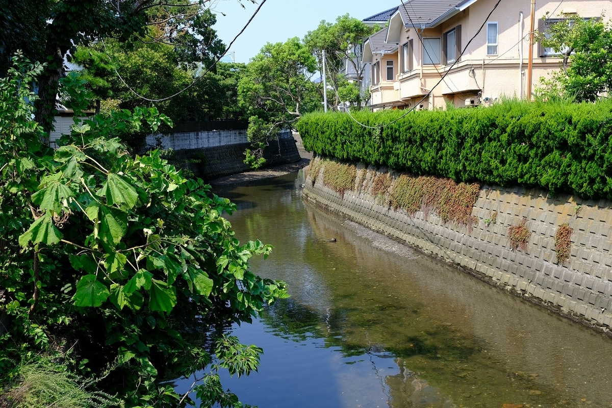 f:id:kazemina:20200426214648j:plain