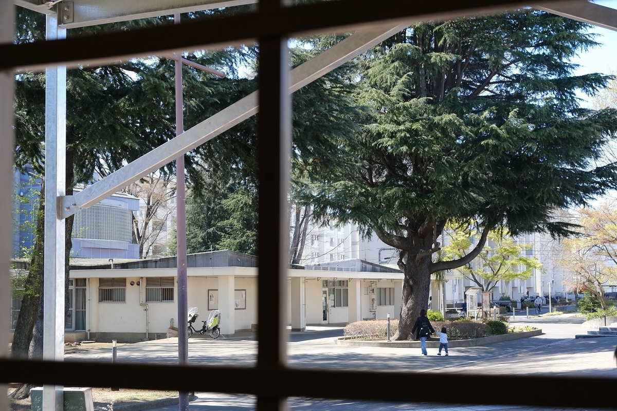 f:id:kazemina:20200504224400j:plain