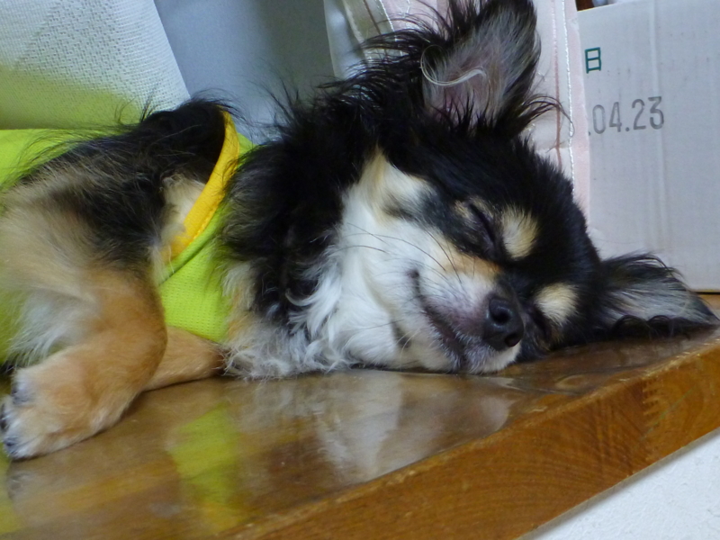 f:id:kazenisasowarete:20120815210909j:image