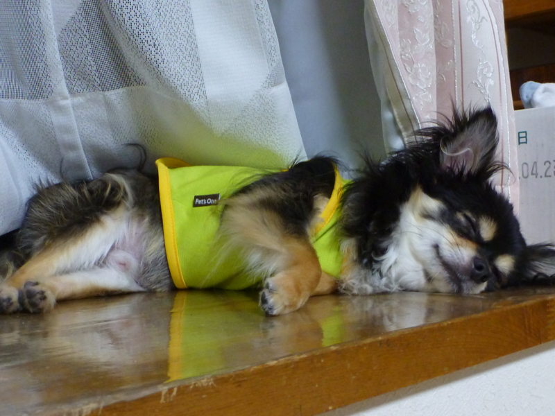 f:id:kazenisasowarete:20120815210916j:image