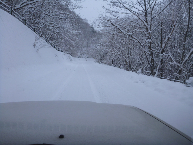 f:id:kazenisasowarete:20141214084031j:image