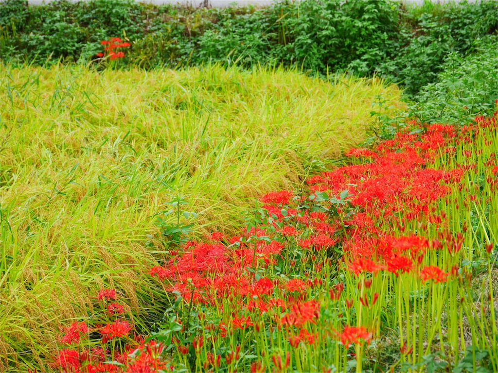 f:id:kazeno-uta:20160922204346j:image