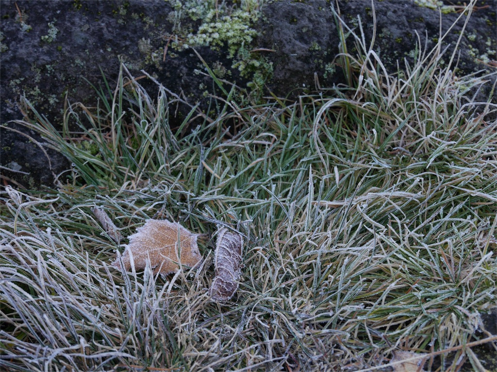 f:id:kazeno-uta:20161218192452j:image