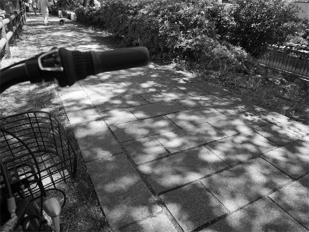 f:id:kazeno-uta:20170607205749j:image