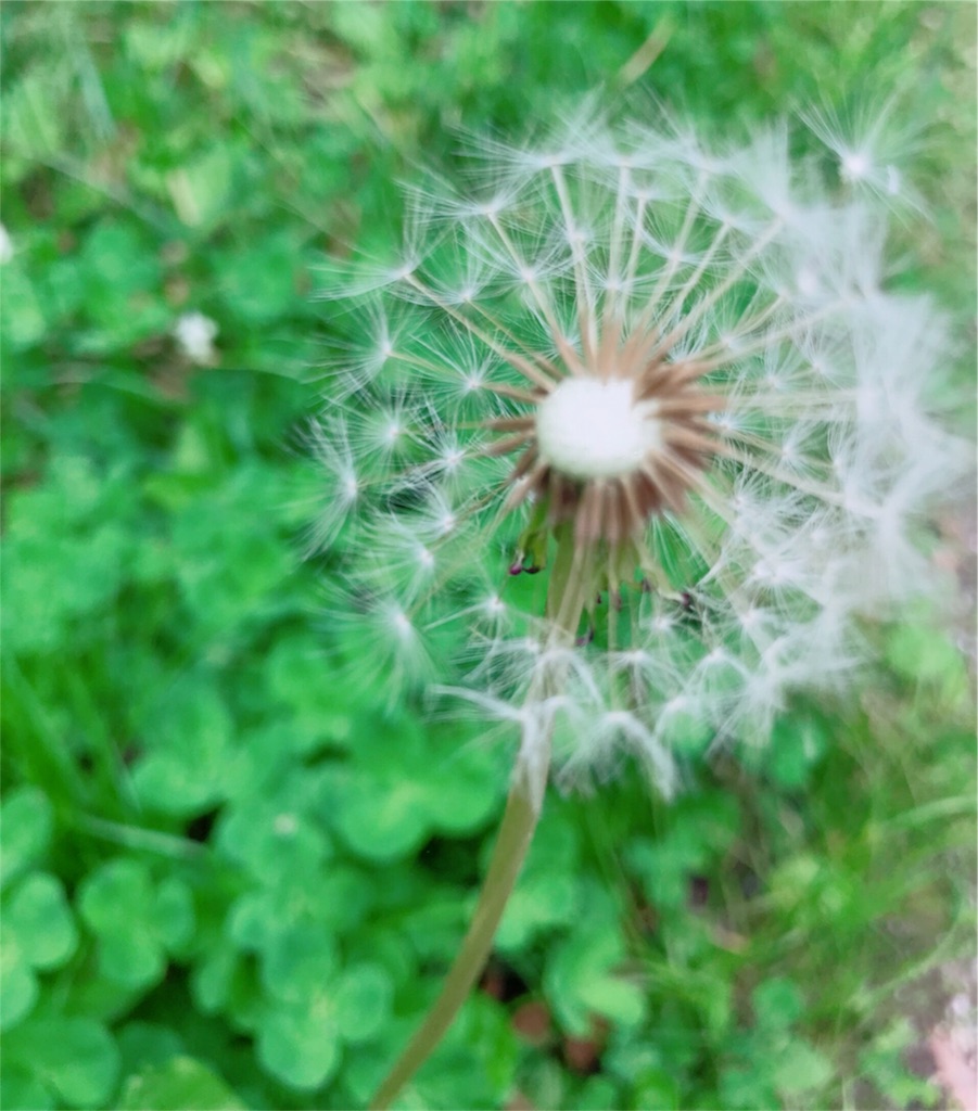 f:id:kazeno-uta:20180620012319j:image