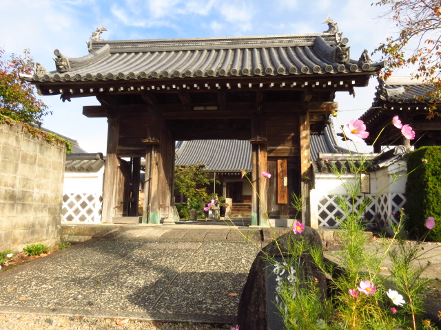 f:id:kazeno-yuh:20191114002457j:plain