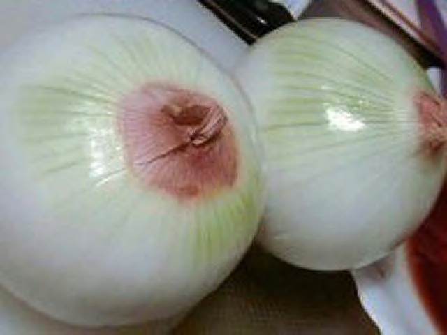 f:id:kazeno-yuh:20191123060706j:plain