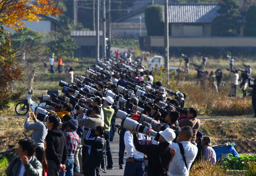 f:id:kazeno-yuh:20191205233943j:plain