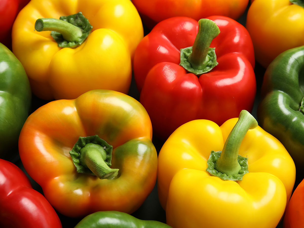 f:id:kazeno-yuh:20191231000411j:plain