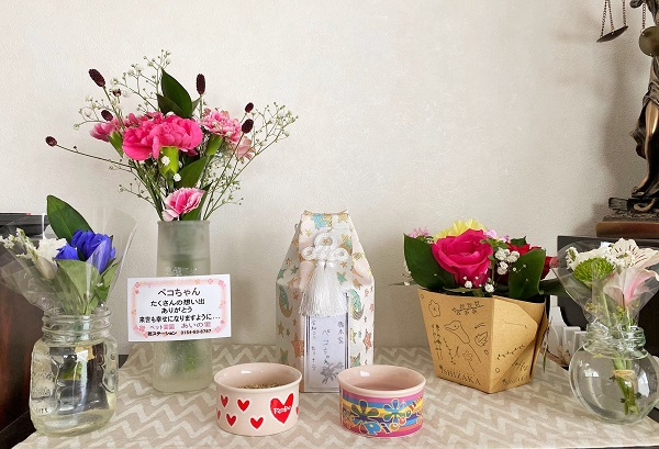 いつも毅然として気高かったセキセイインコの ペコ 天に還る 釧路シンギング リン音響セラピー風の木 響かせるということ