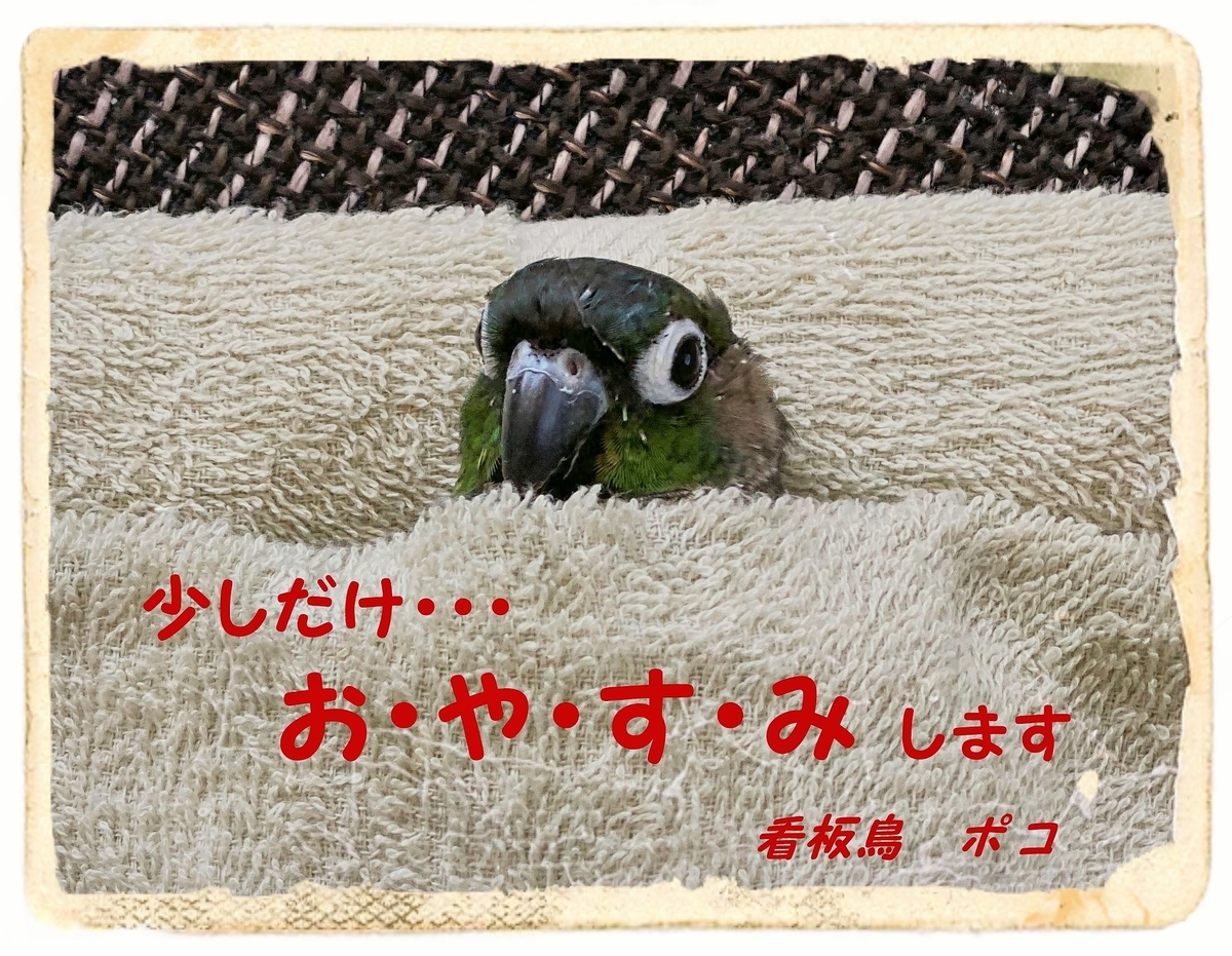 f:id:kazenoki:20210614132837j:plain