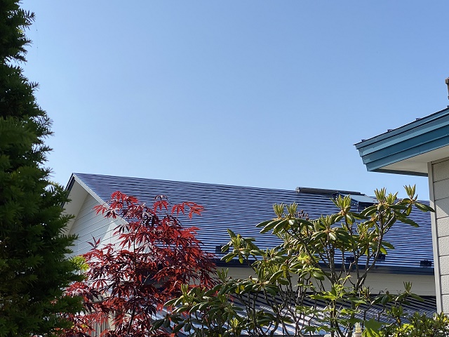 f:id:kazenoki:20210617225115j:plain