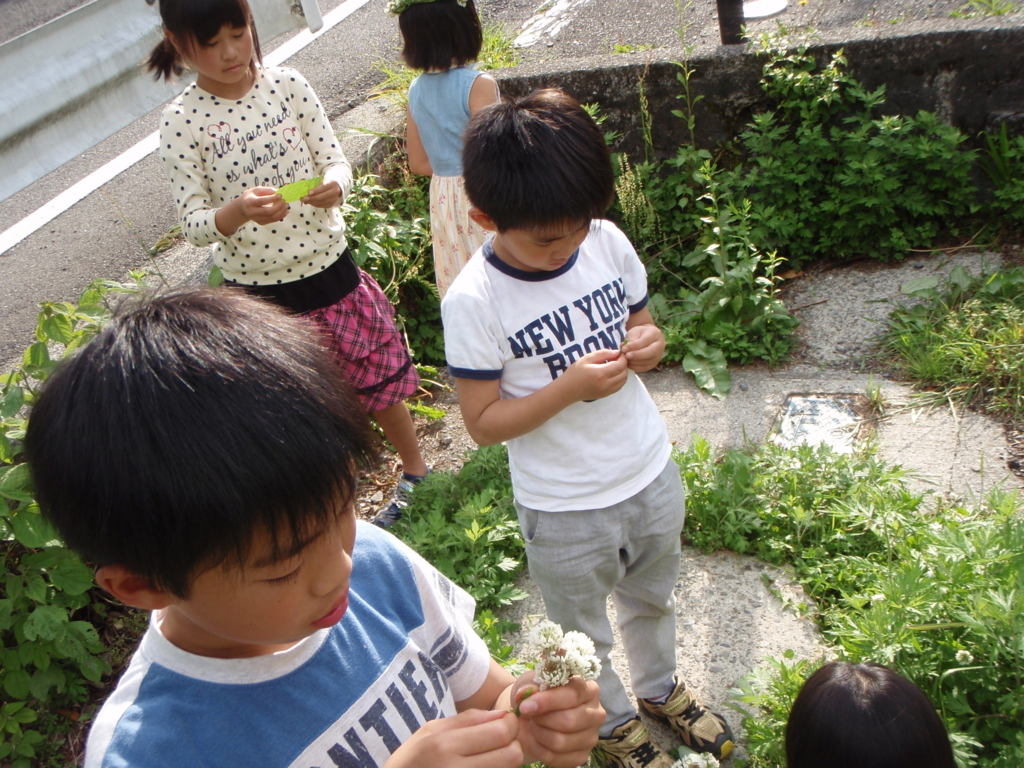 f:id:kazenokoblog:20180529130558j:plain f:id:kazenokoblog:20180529130558j:plain