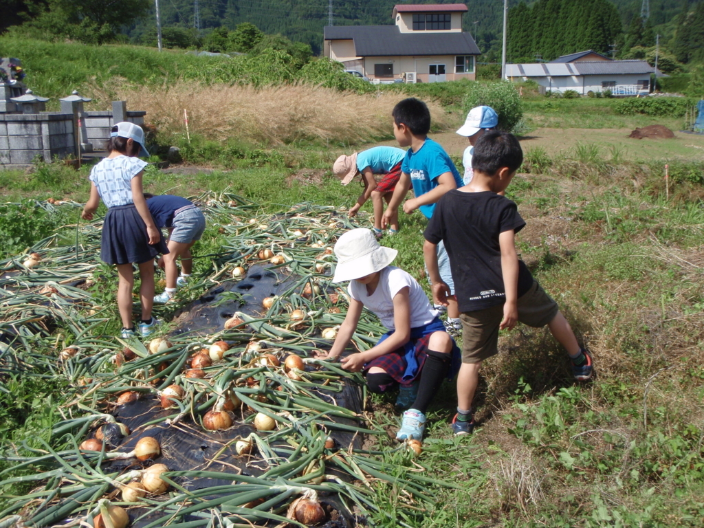 f:id:kazenokoblog:20180710161425j:plain