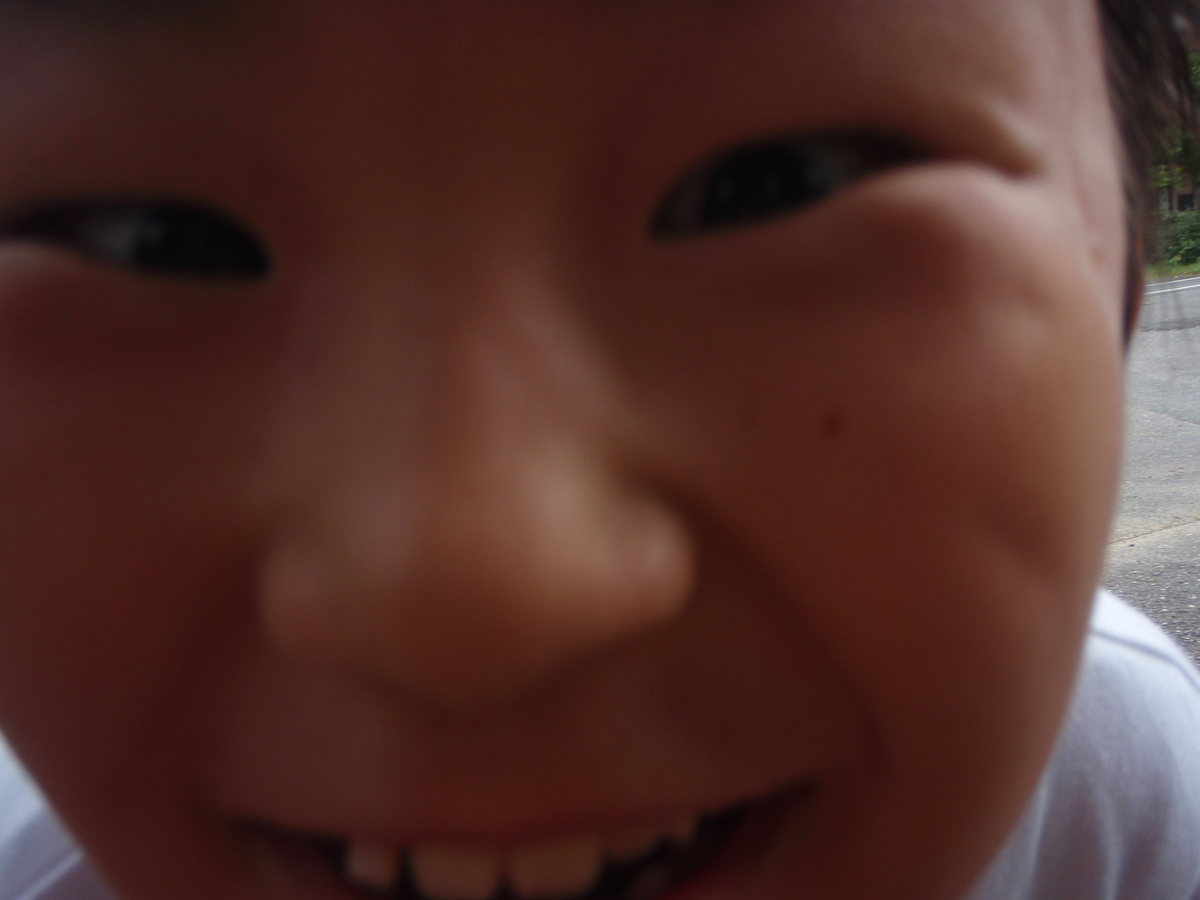 f:id:kazenokoblog:20190322144511j:plain f:id:kazenokoblog:20190322144511j:plain