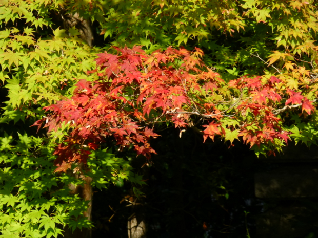 f:id:kazenokomichi:20131112183222j:plain f:id:kazenokomichi:20131112183222j:plain
