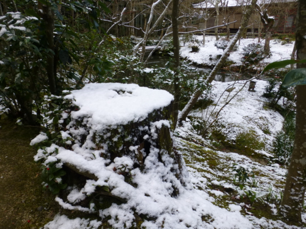 f:id:kazenokomichi:20140112184827j:plain f:id:kazenokomichi:20140112184827j:plain