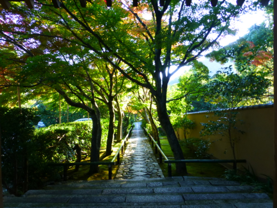 f:id:kazenokomichi:20141006013747j:plain f:id:kazenokomichi:20141006013747j:plain