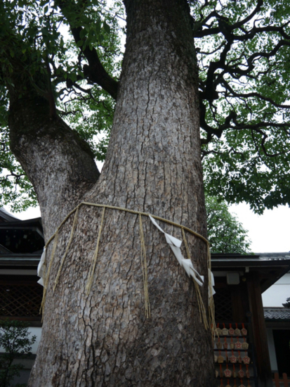 f:id:kazenokomichi:20141013124937j:plain