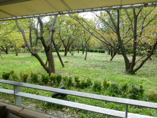 f:id:kazenokomichi:20141016080959j:plain