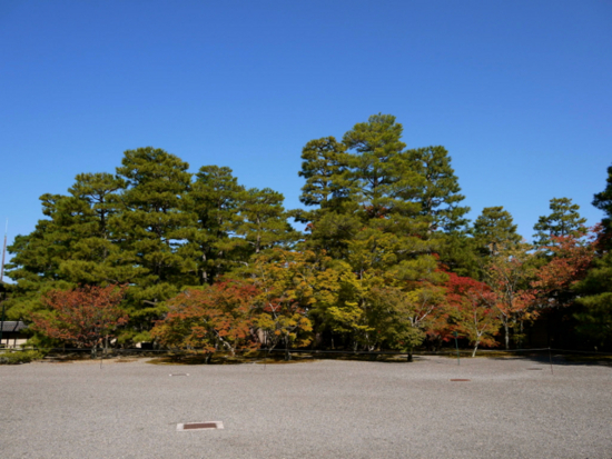 f:id:kazenokomichi:20141101182316j:plain