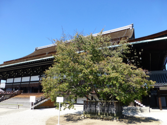 f:id:kazenokomichi:20141101182947j:plain