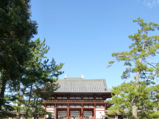 f:id:kazenokomichi:20141105102359j:plain
