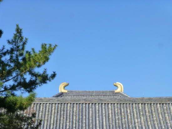 f:id:kazenokomichi:20141105102420j:plain