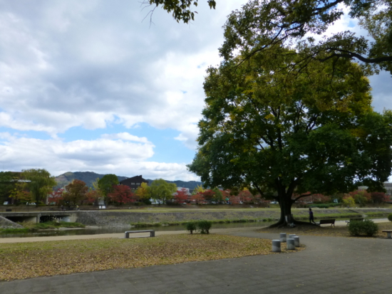 f:id:kazenokomichi:20141115233912j:plain f:id:kazenokomichi:20141115233912j:plain