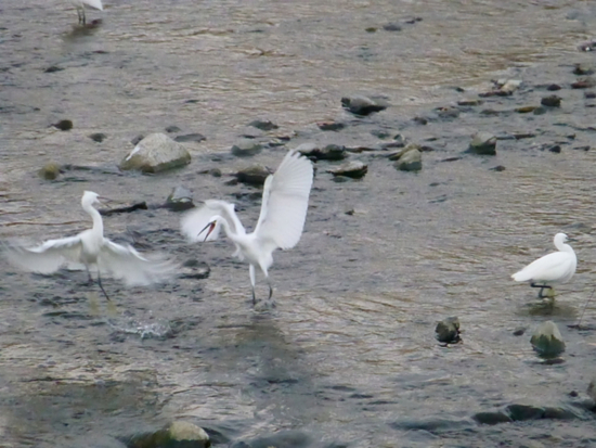 f:id:kazenokomichi:20141115235048j:plain f:id:kazenokomichi:20141115235048j:plain