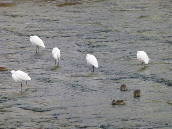 f:id:kazenokomichi:20141115235112j:plain f:id:kazenokomichi:20141115235112j:plain