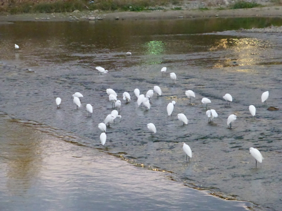 f:id:kazenokomichi:20141115235154j:plain f:id:kazenokomichi:20141115235154j:plain