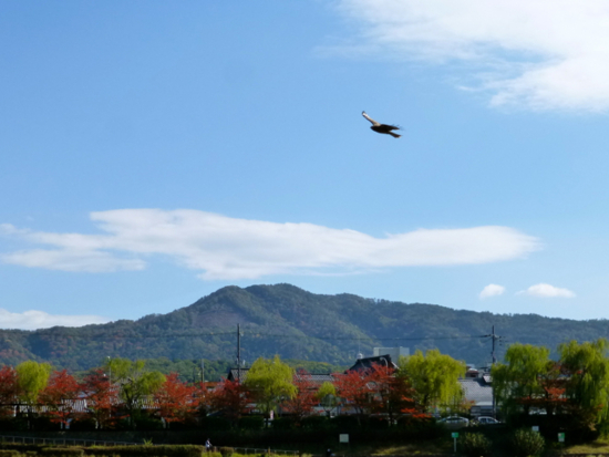 f:id:kazenokomichi:20141116001747j:plain f:id:kazenokomichi:20141116001747j:plain