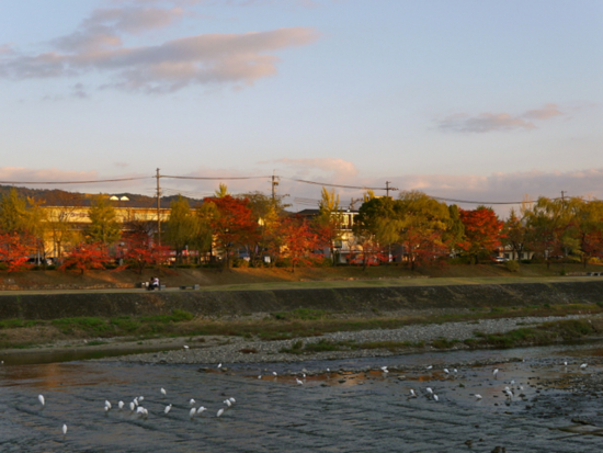 f:id:kazenokomichi:20141116001829j:plain f:id:kazenokomichi:20141116001829j:plain