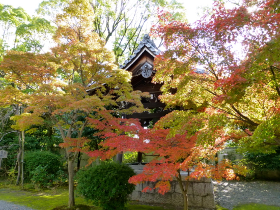 f:id:kazenokomichi:20141116145555j:plain