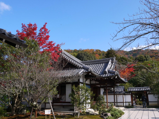 f:id:kazenokomichi:20141203085405j:plain
