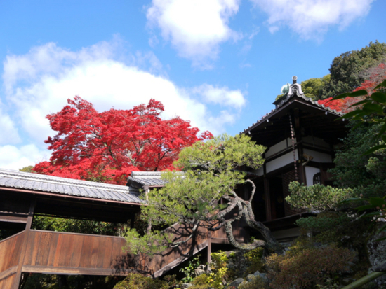 f:id:kazenokomichi:20141203085414j:plain