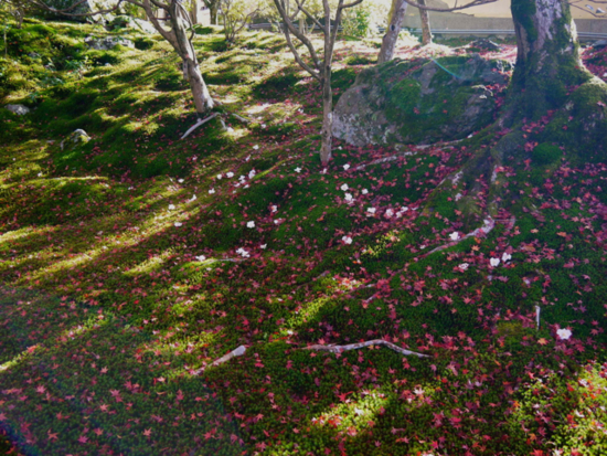 f:id:kazenokomichi:20141203085459j:plain
