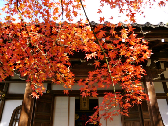 f:id:kazenokomichi:20141203101015j:plain